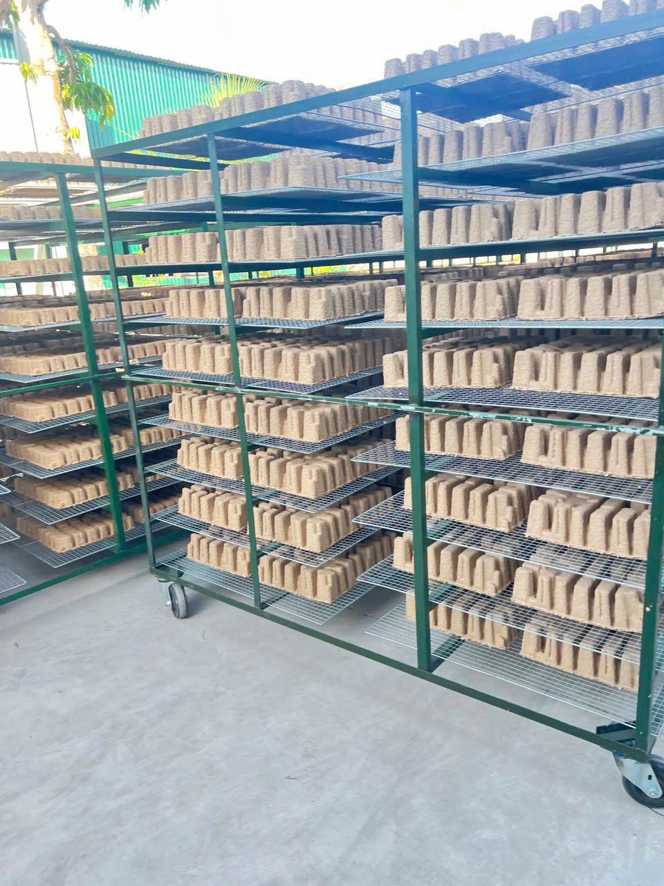ZHENGSHYN VIỆT NAM – ĐẨY MẠNH GIA CÔNG DA VÀ BAO BÌ XANH PHỤC VỤ NGÀNH CÔNG NGHIỆP THỜI TRANG